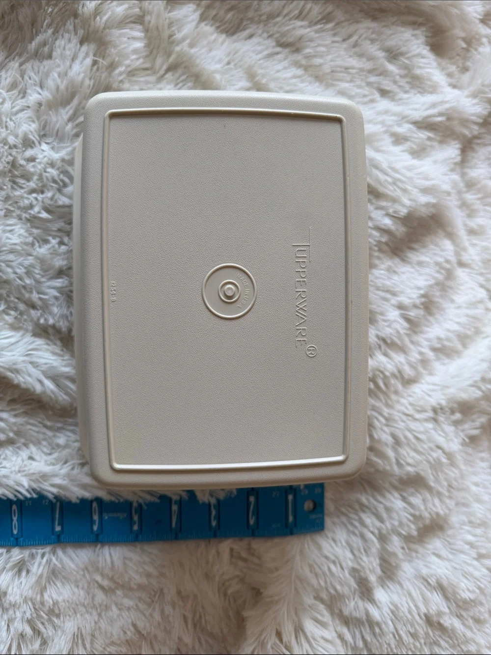Tupperware Vintage ice cream keeper